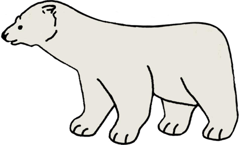 polar bear snow winter bear white