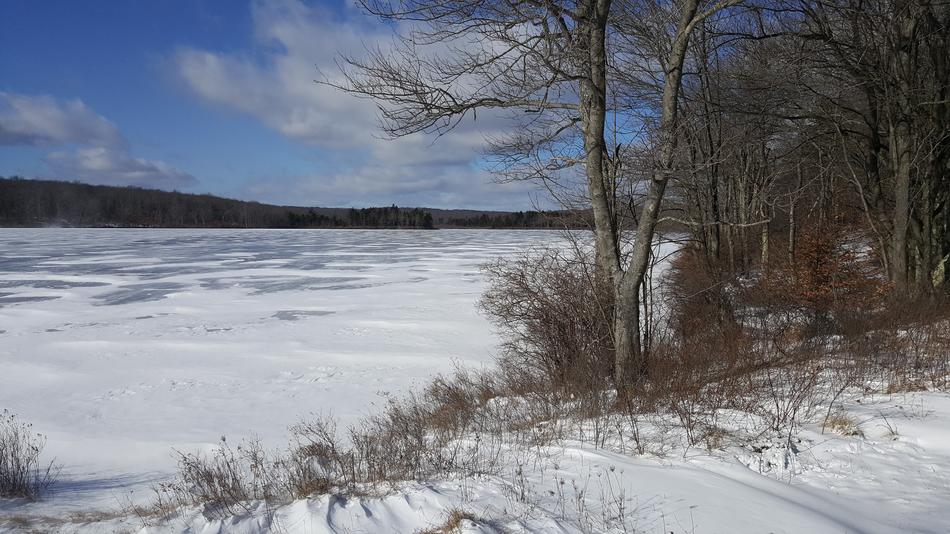 Frozen Lake