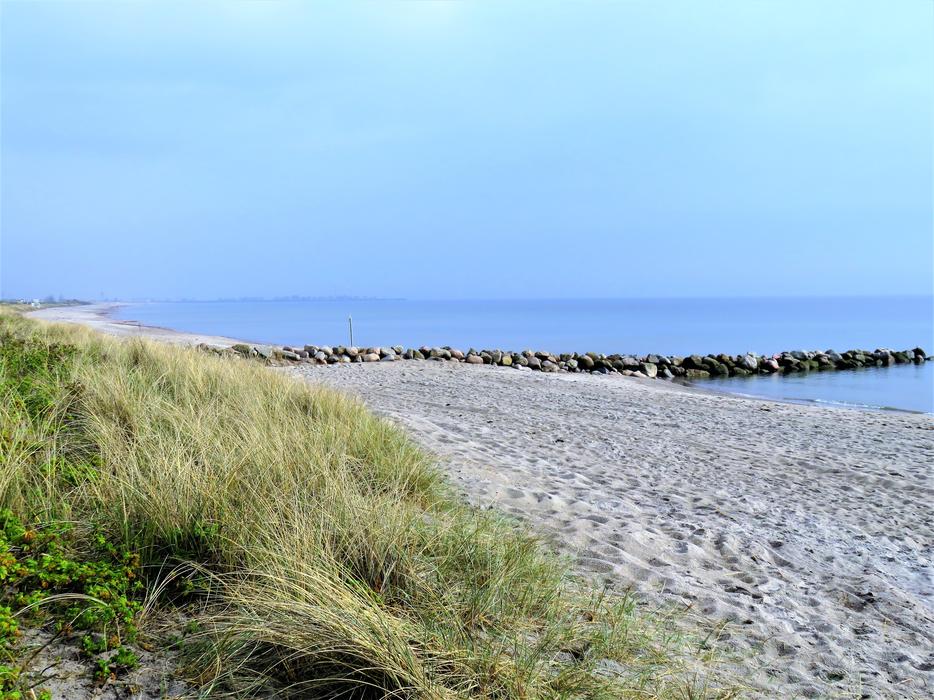 Baltic Sea Coast Sand