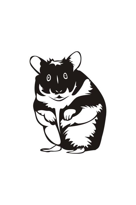 hamster rodent mammal animal pet