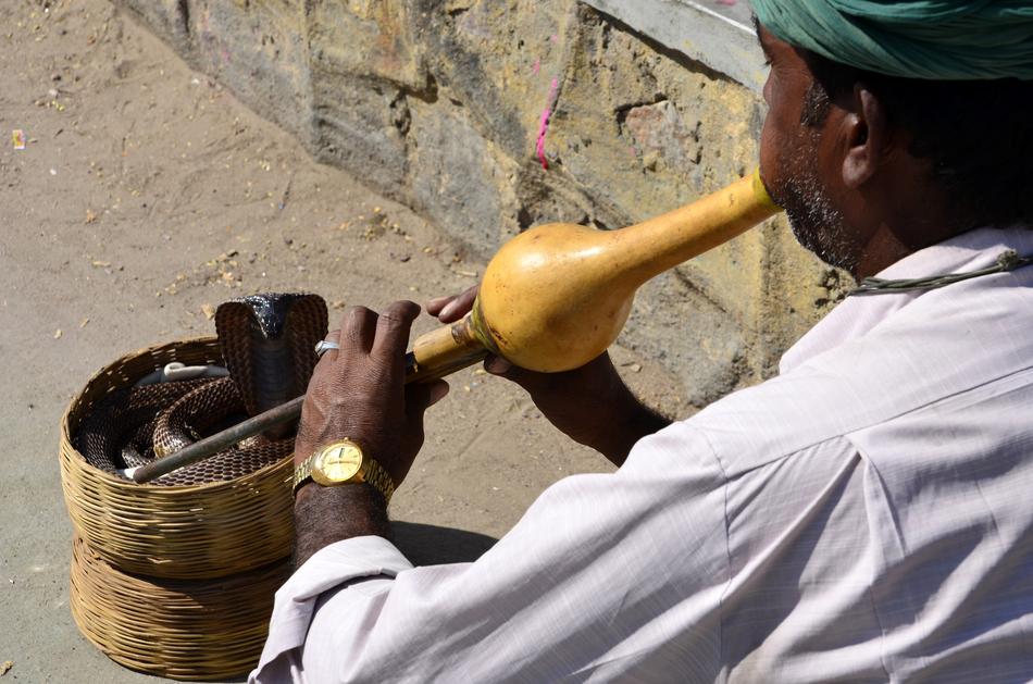 a man with a snakes pipe