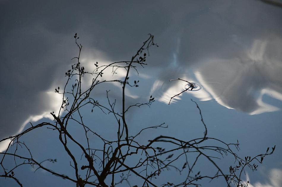 clouds with trees landscape