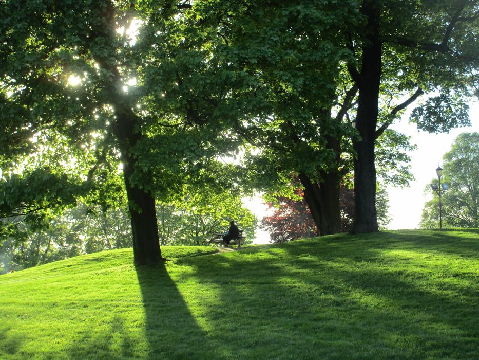 Relaxing Reading Park