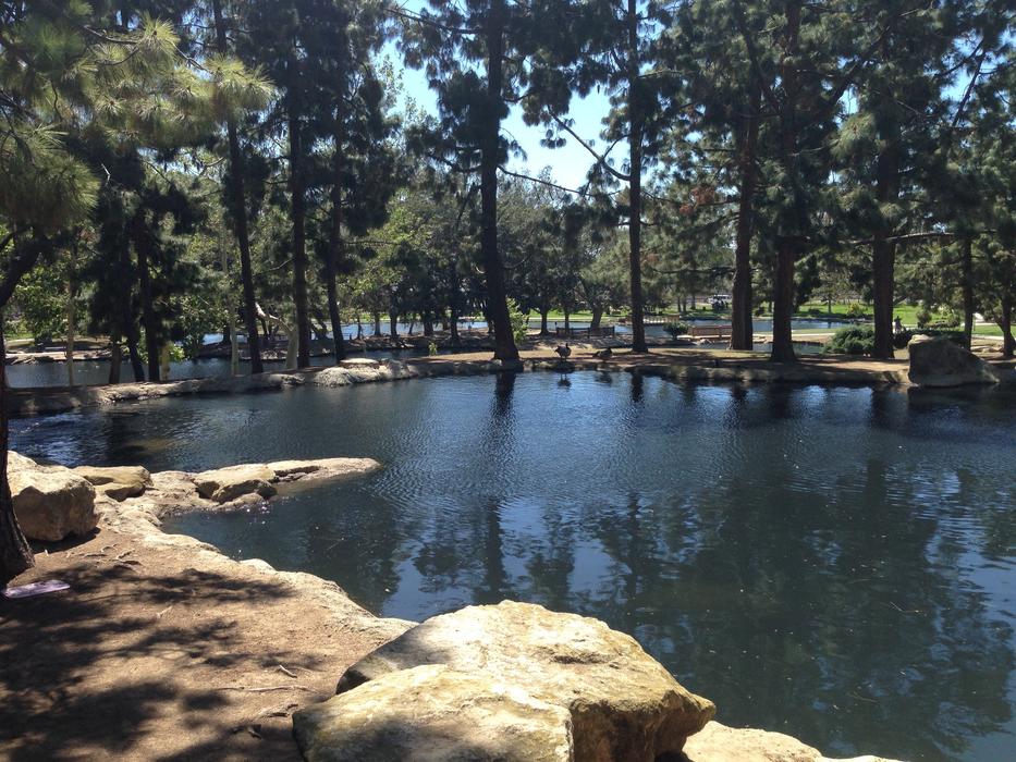 Pond California