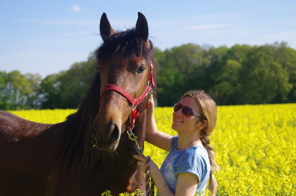 Horse Meadow