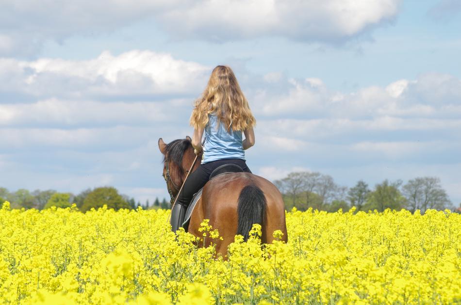 Ride Friends Human