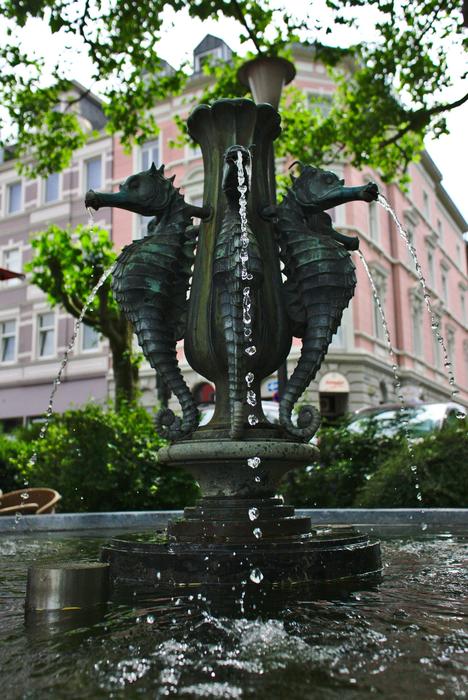 Fountain Seahorse in the square