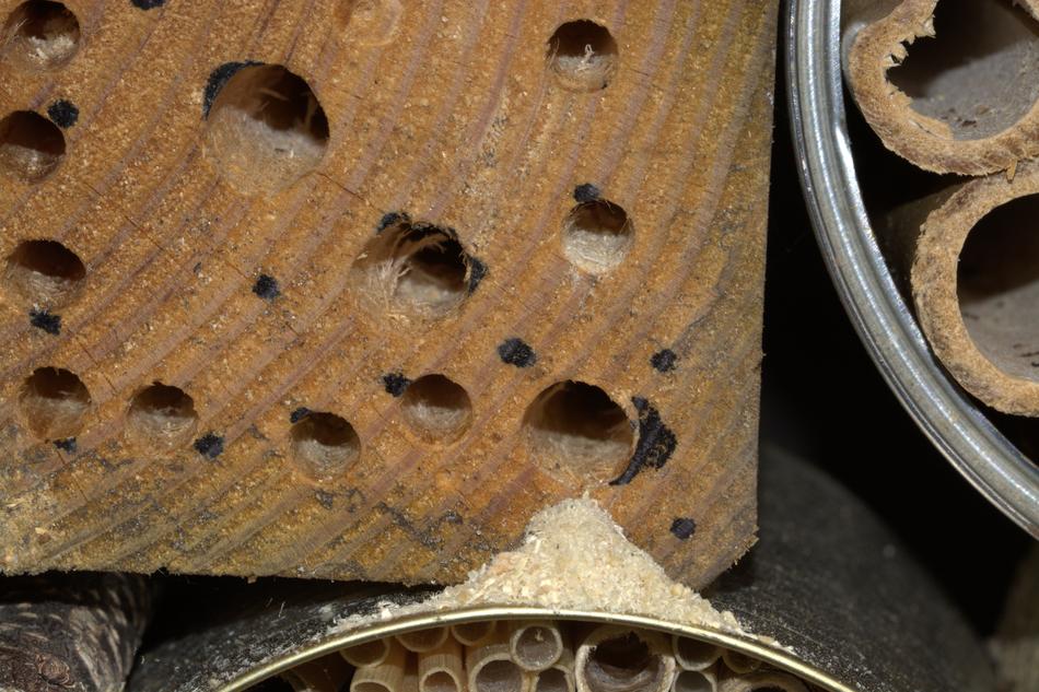 wooden wall with holes