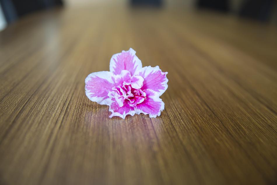 pink little flower on the table