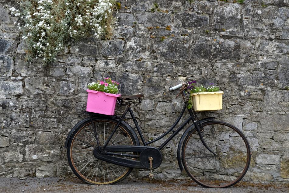 Bike Wheel Flowers