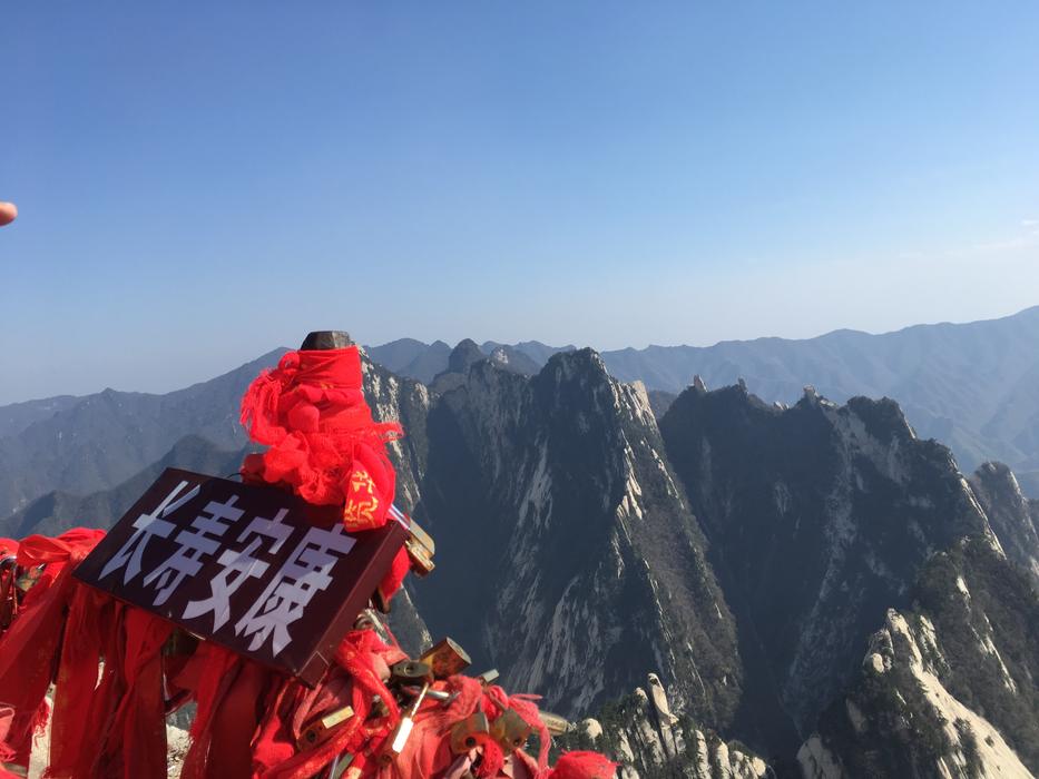 chinese inscription near the poppy field
