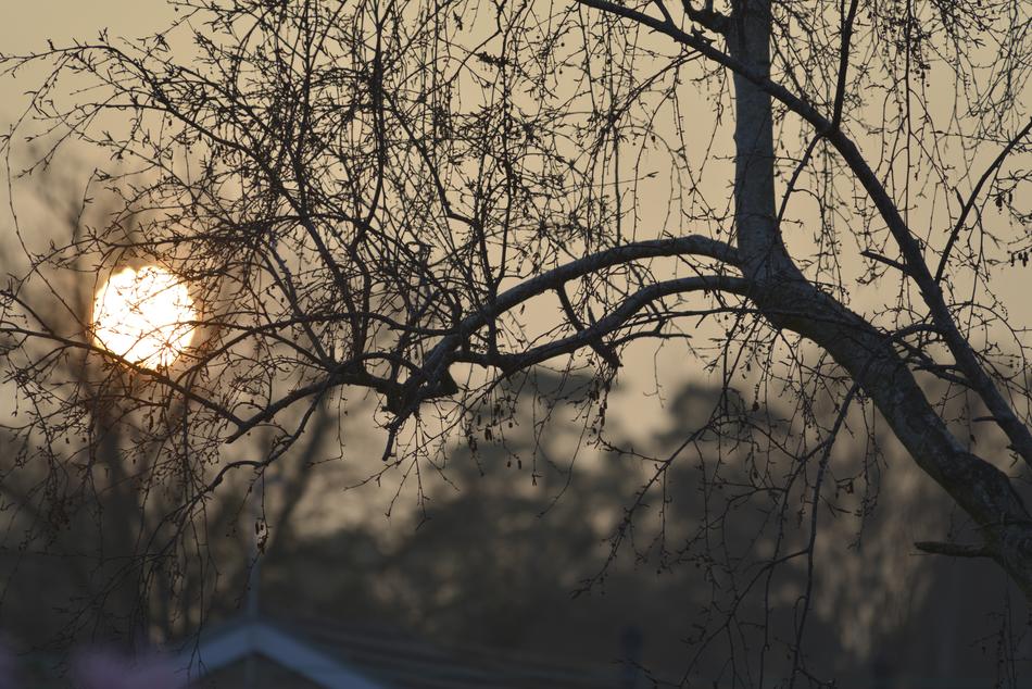 Sun Setting view