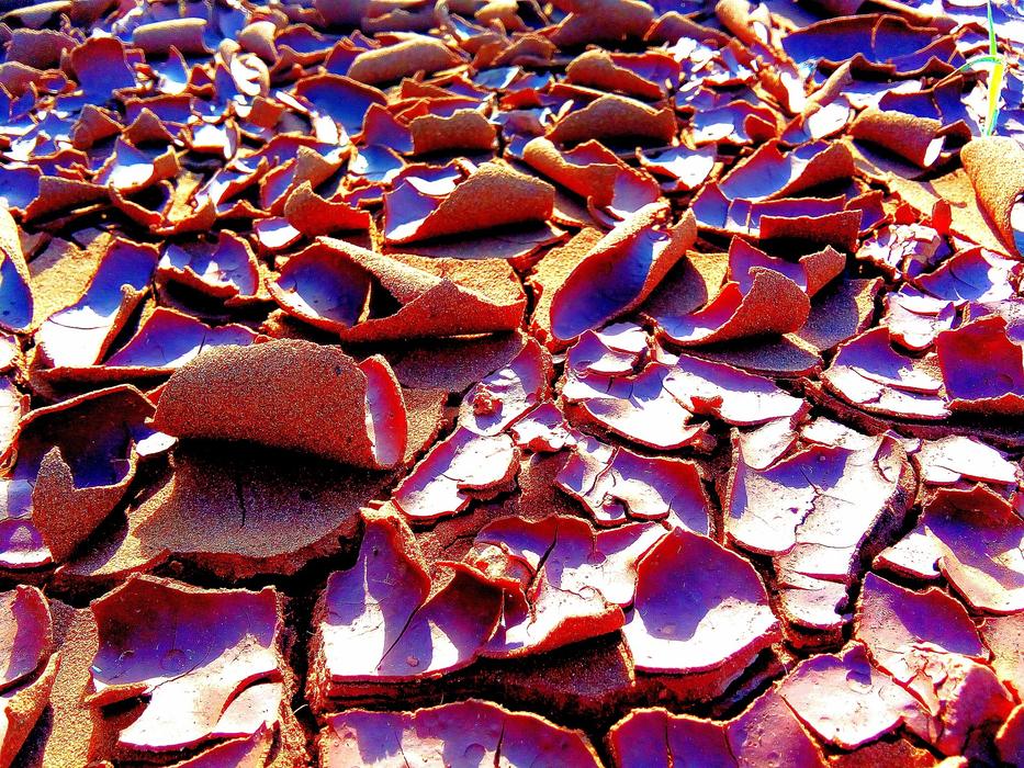 Autumn dry leaves lit up by the sun