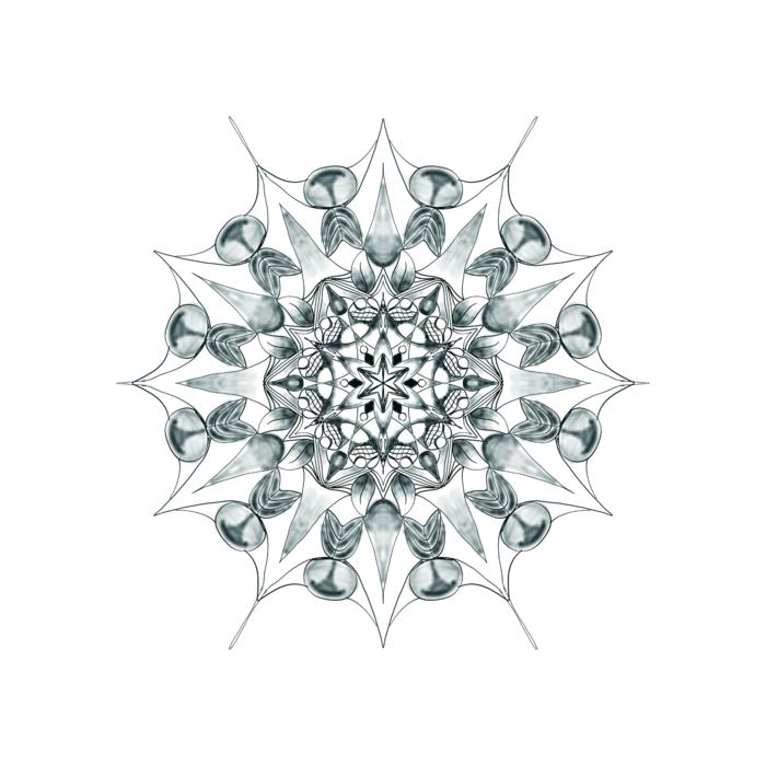 mandala isolated meditation force