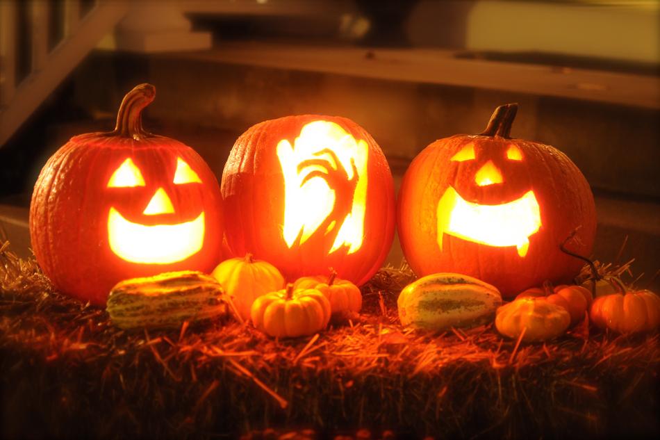 Pumpkin Halloween Autumn