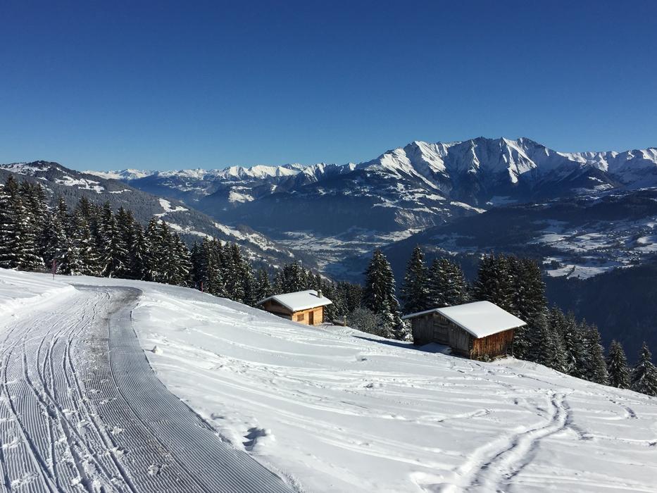 Switzerland Snow Alpine