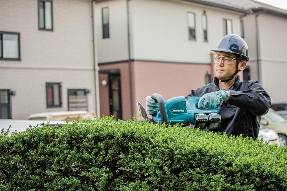 a man near a green bush