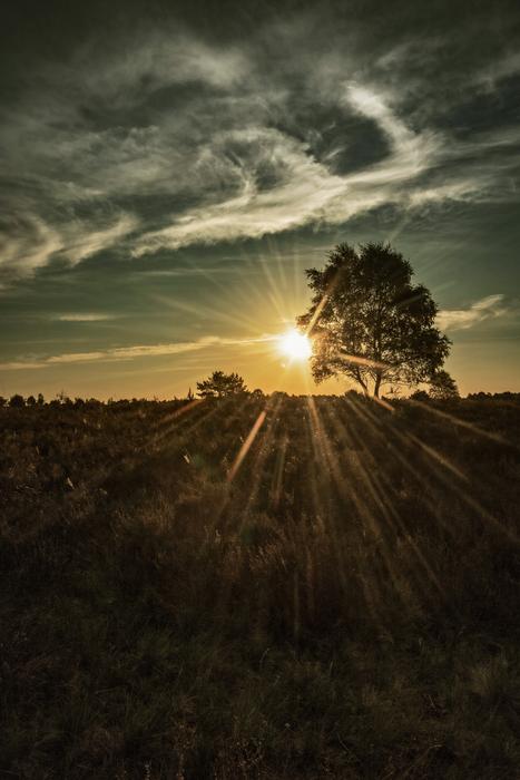 Sunrise Sky