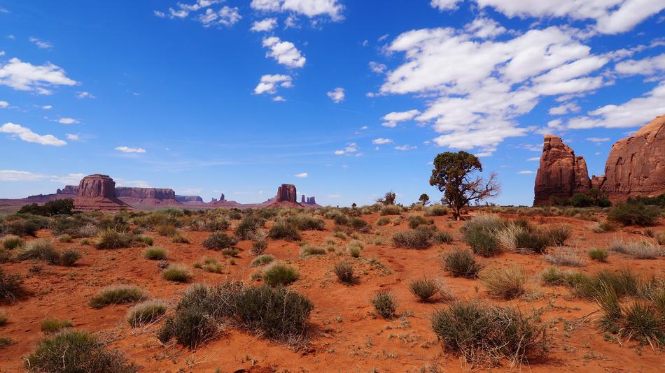 Monument Valley Desert
