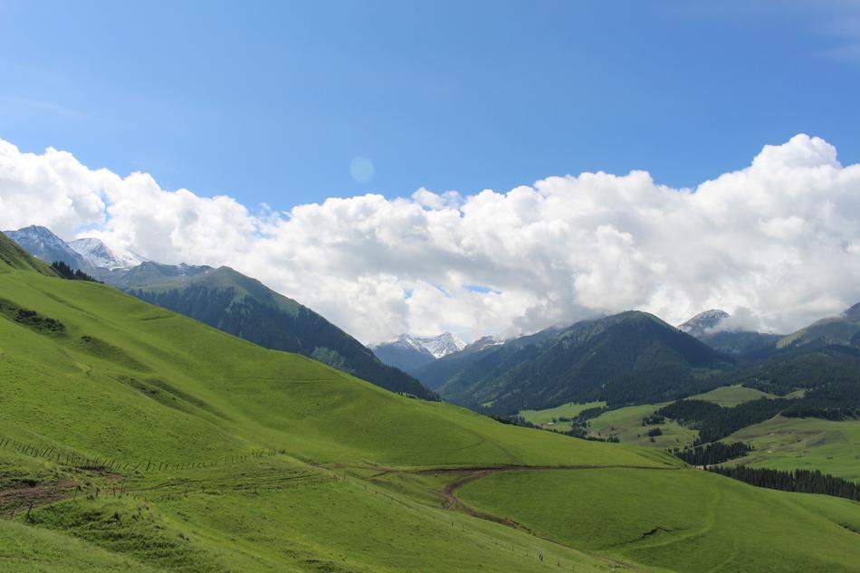 a green meadow under a cloudy sky