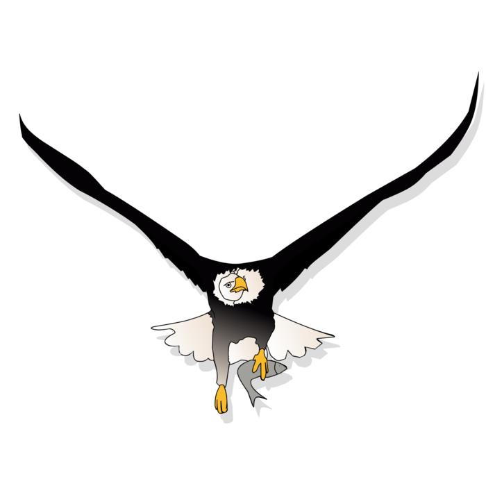 eagle fish flying eye hunt
