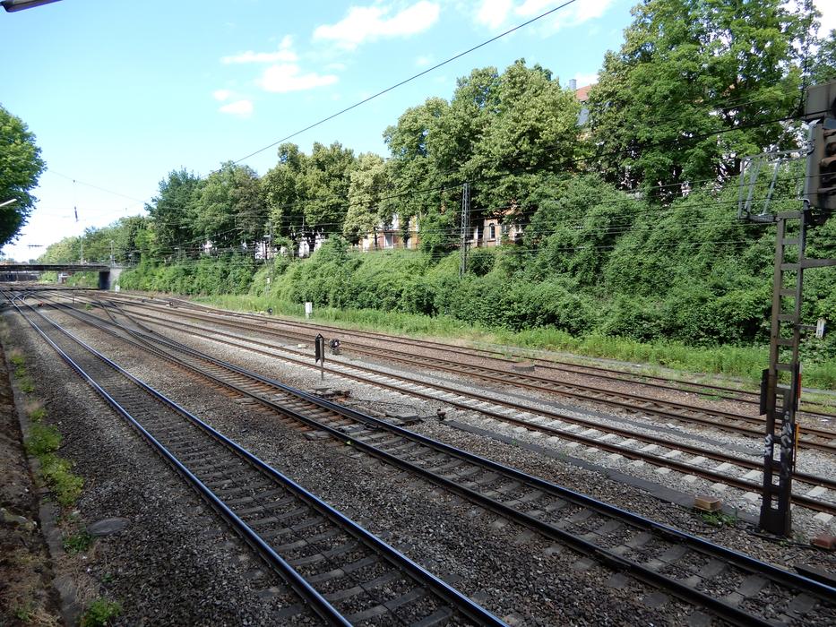 Railway System Trees Rails