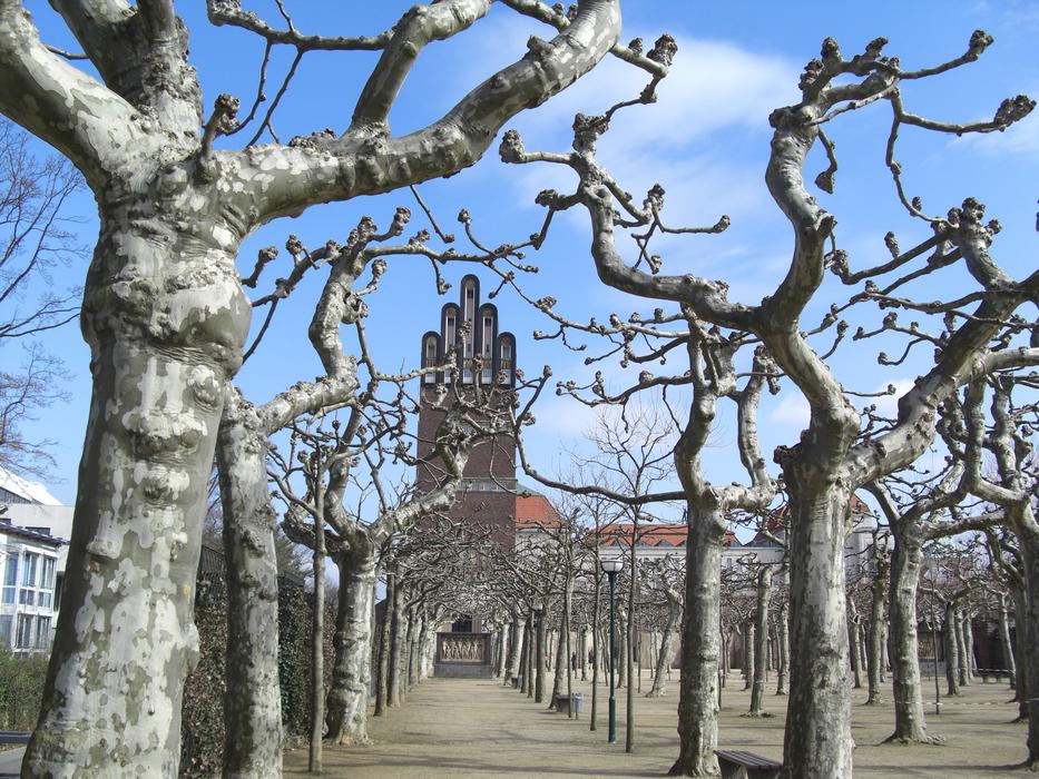 view of the wedding tower among the trees