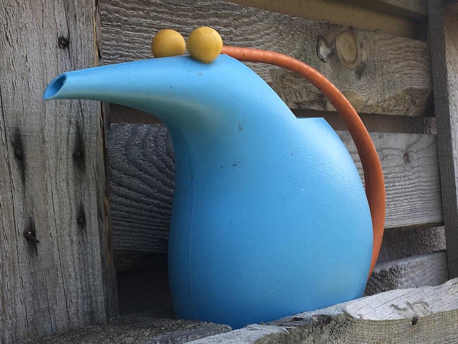 funny blue watering can for the garden
