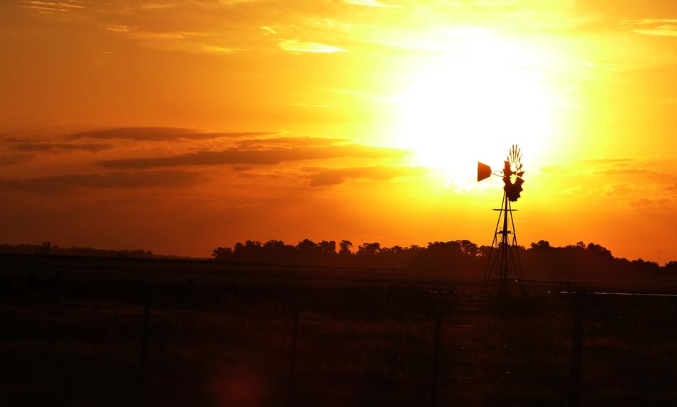 Dawn Field