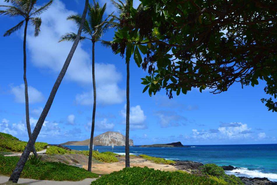 Oahu Hawaii