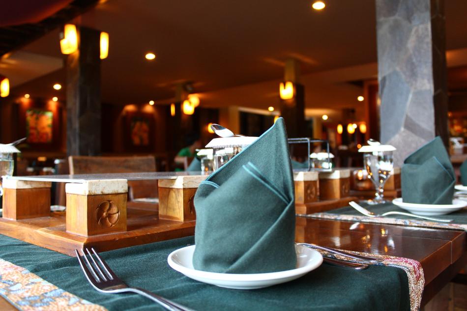 Dining Table Napkin