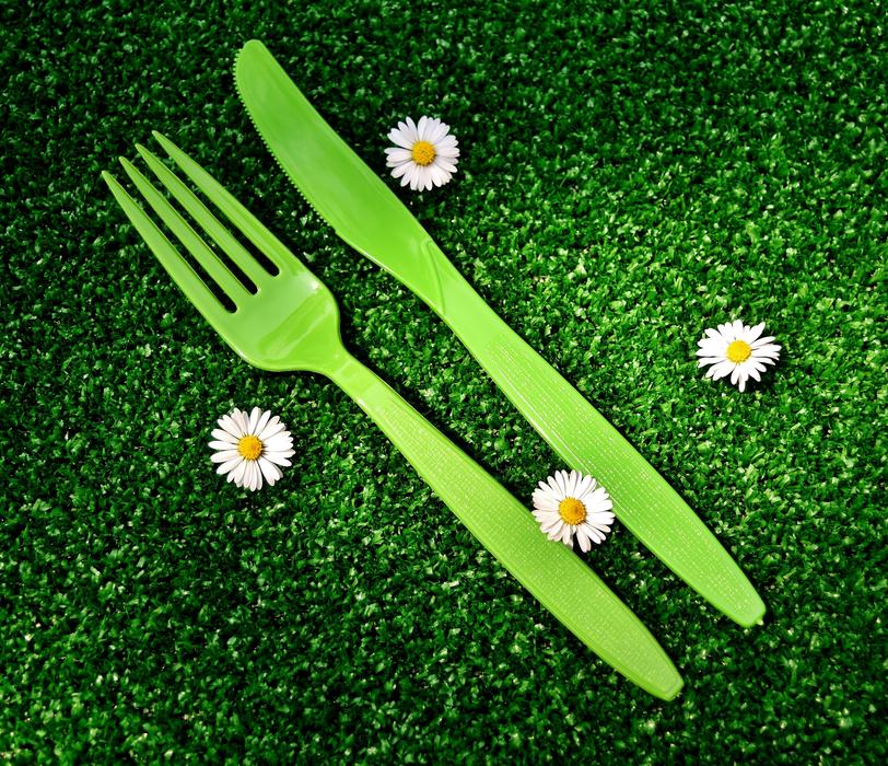 Picnic Cutlery Plastic One
