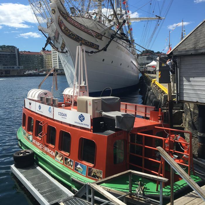 cargo ships in the seaport