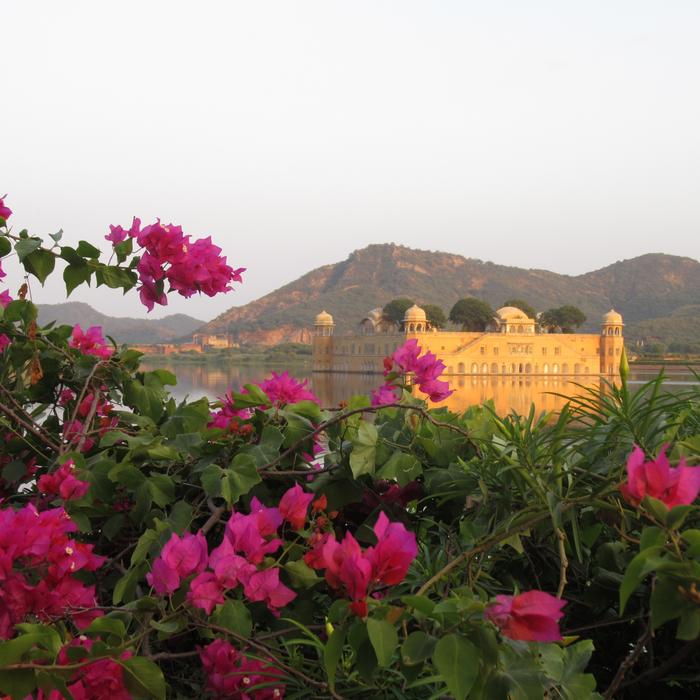 Jaipur Jal Mahal view