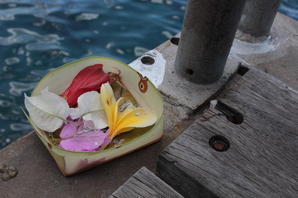 flower petals in a box