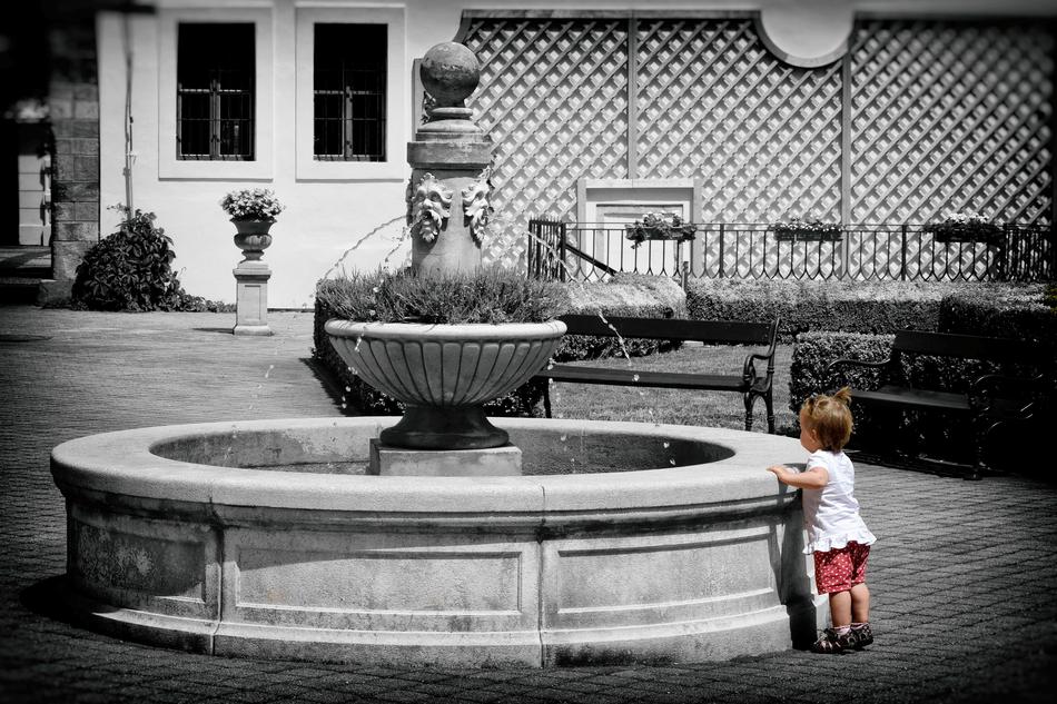 Fountain Park Summer