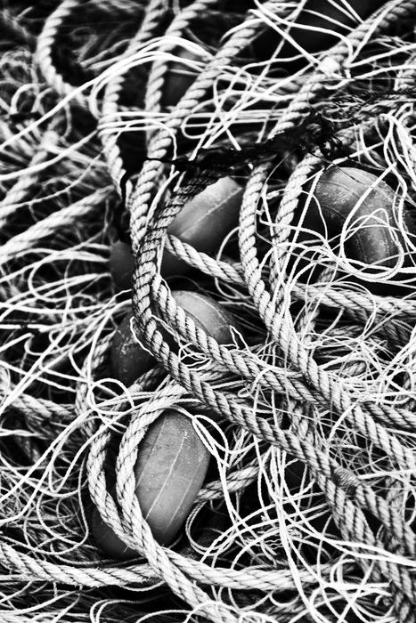 tangled strings with strings