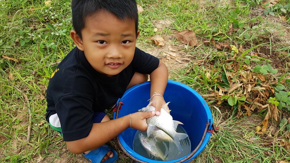 photo of asian Boy with fish