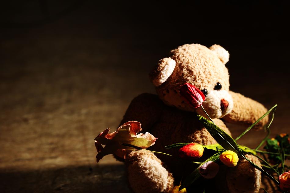 Teddybear Flowers Miniature