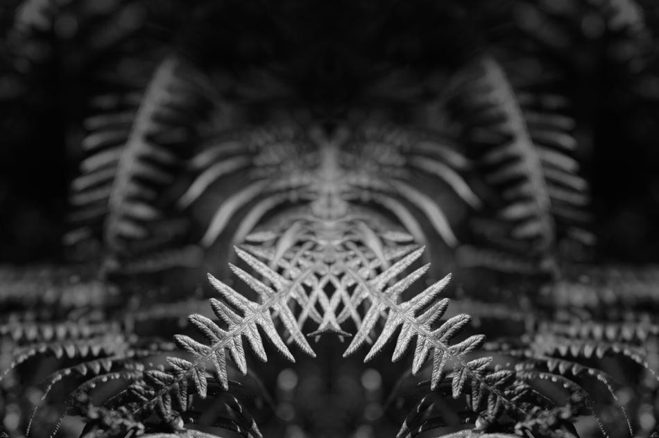boating black white fantasy dark