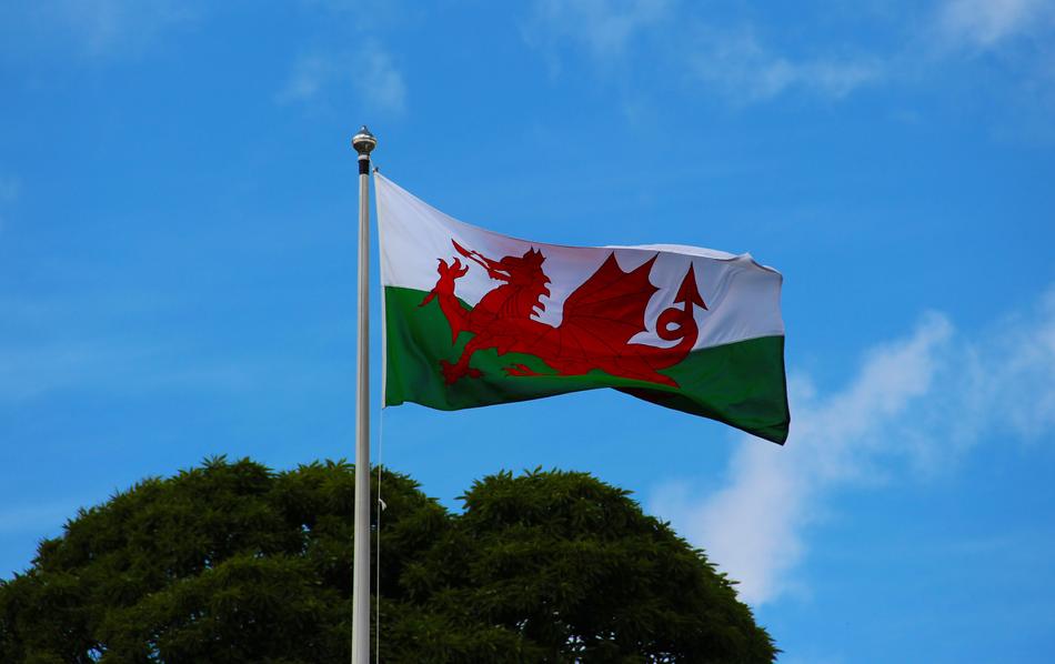 Welsh Flag Pennant