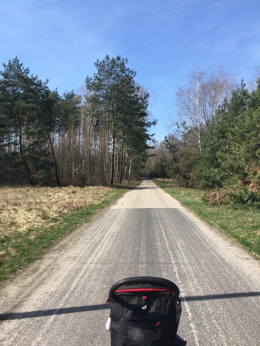 Way Spring