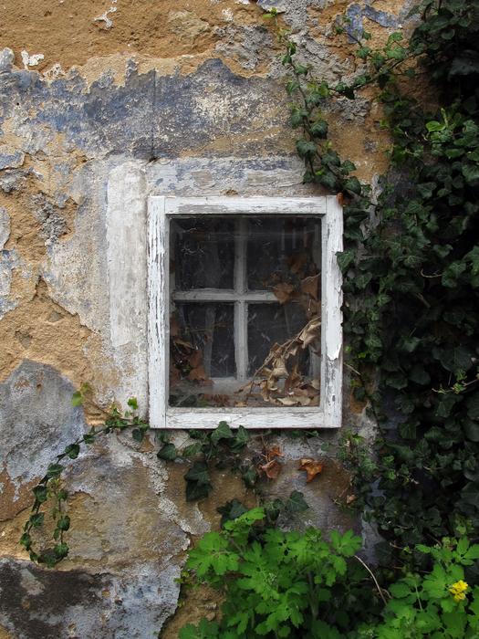 Window Old Frames