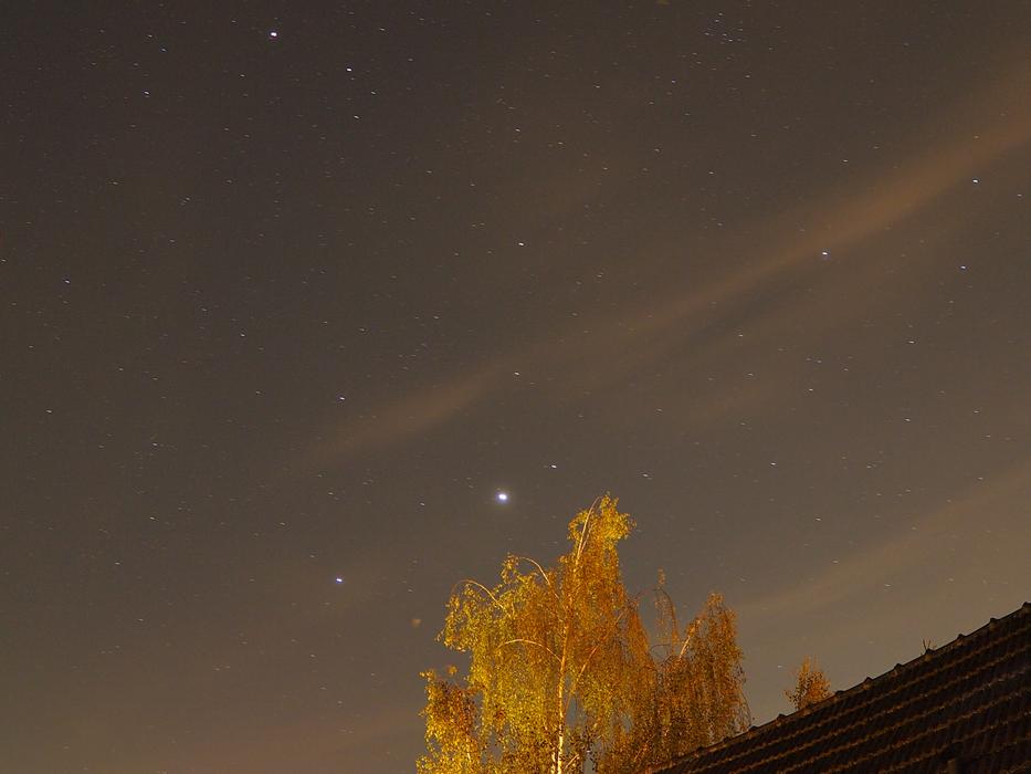 night sky with stars and an autumn tree