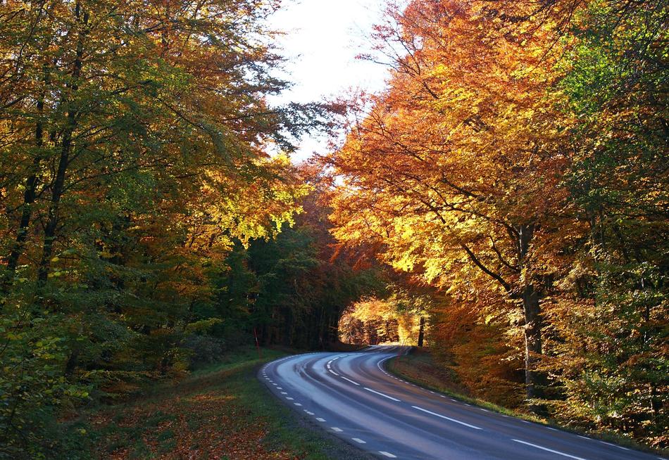 Autumn Höstväg Road