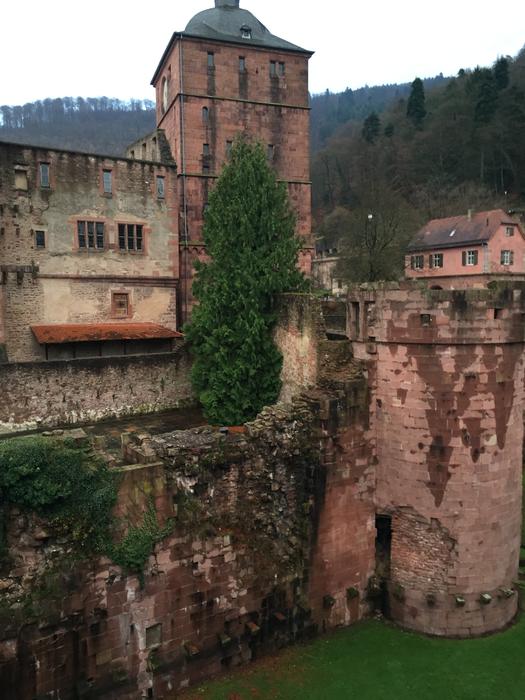Heidelberg Castle Heidelberger