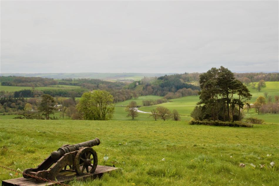 green grass with a cannon