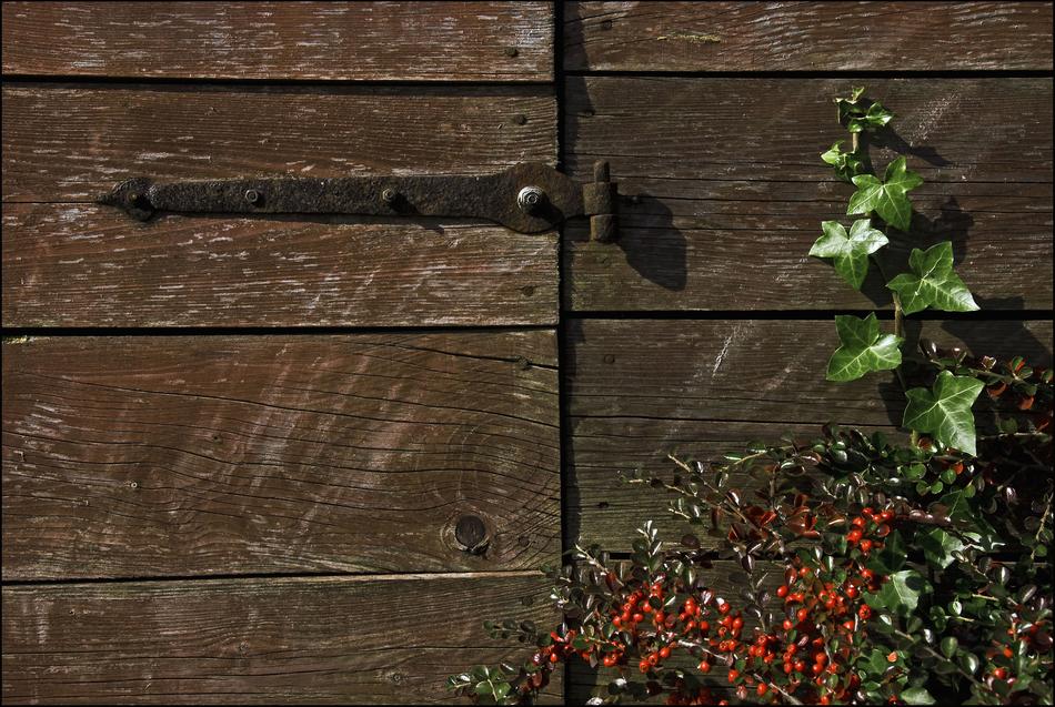 Wood Hinge