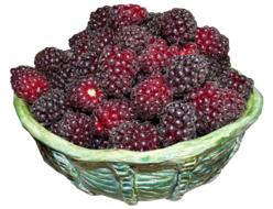 berries in bowl