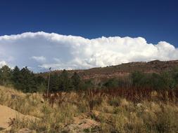 more of a white cloud over the trees